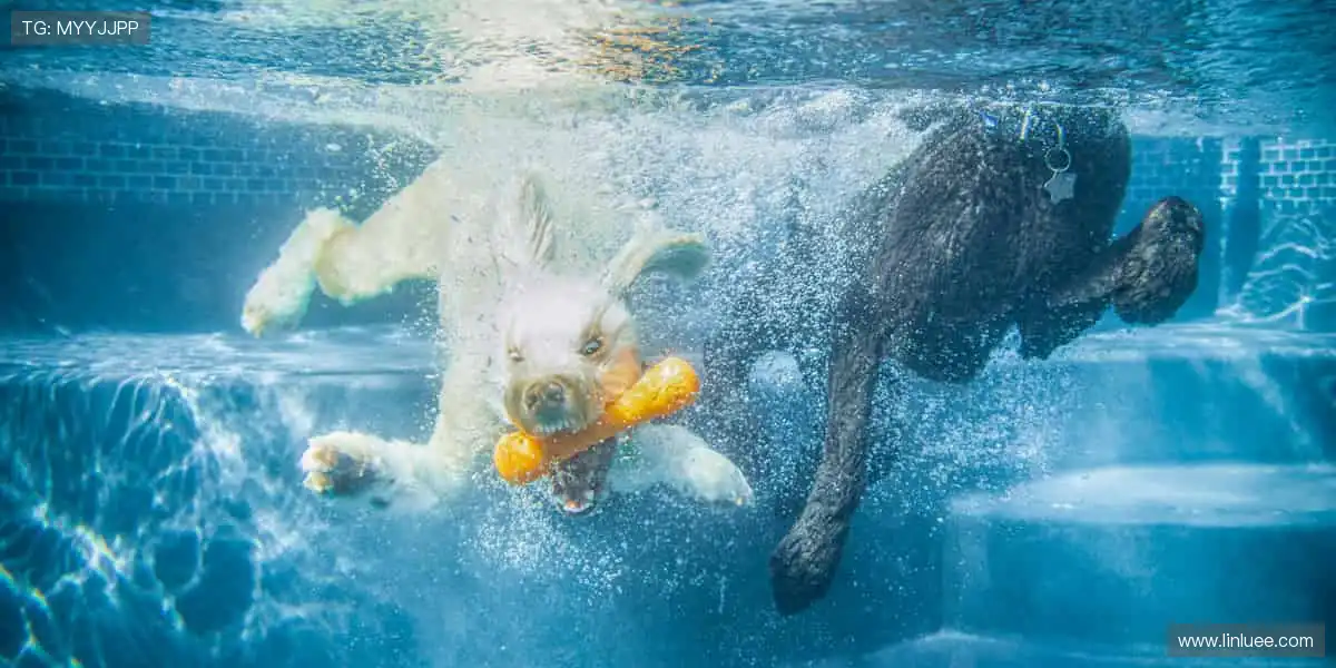 📱实时直播，比分秒报！💻随时随地，不错过每一个燃爆瞬间！